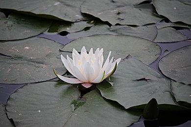 《驱灵者：新伊甸的幽灵》“Antea的肖像”预告 2月13日发售